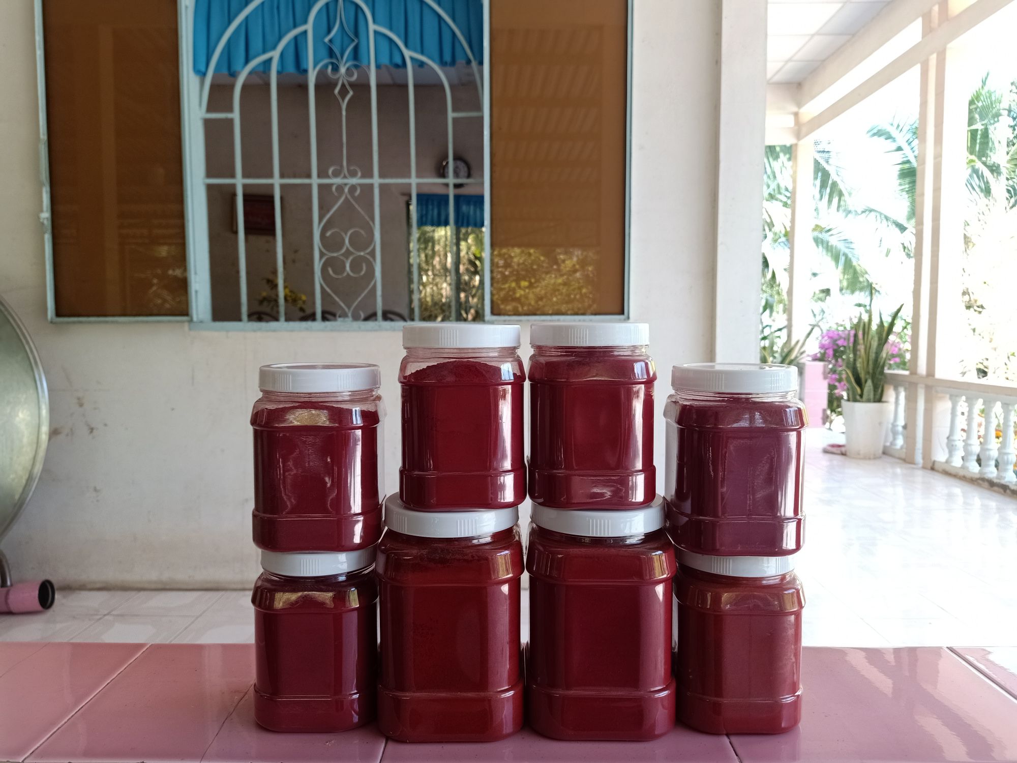 NGHỆ ĐỎ VÔ GÀ, KEO 0.5KG
