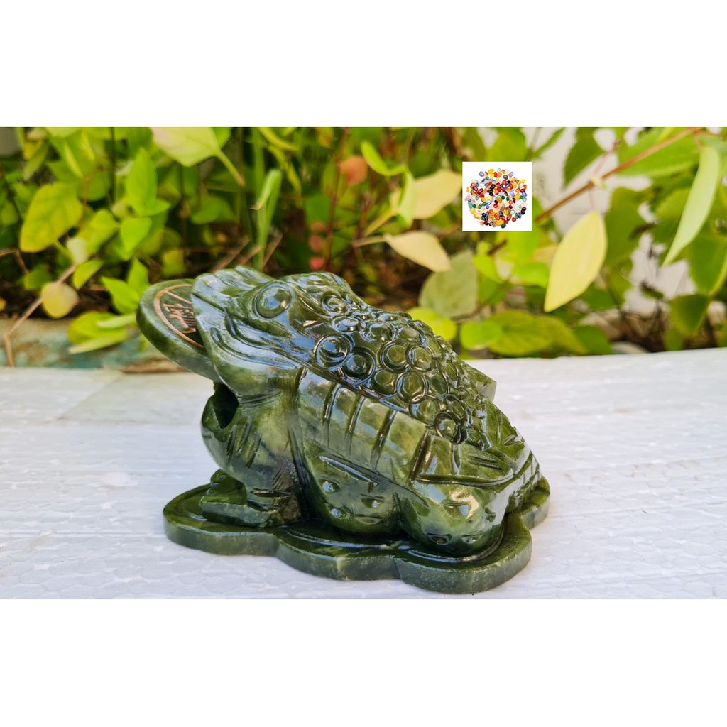 Cóc đá Lam Ngọc Serpetine dài 10cm