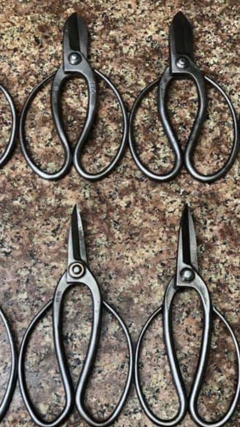 Kéo Cắt Tỉa Thép Trắng Đúc Cao Cấp