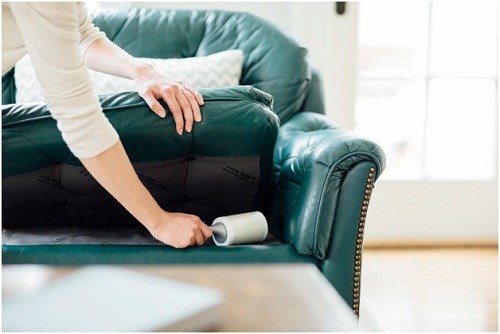 Cây lăn bụi, lông chó mèo, tóc rụng 3M Scotch Brite