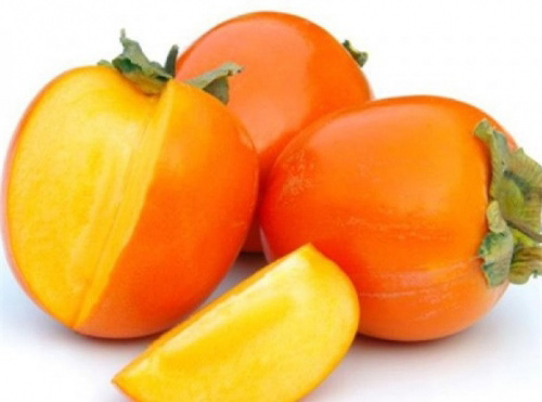 Cây hồng quả đỏ mọng khi chín - cây giống
