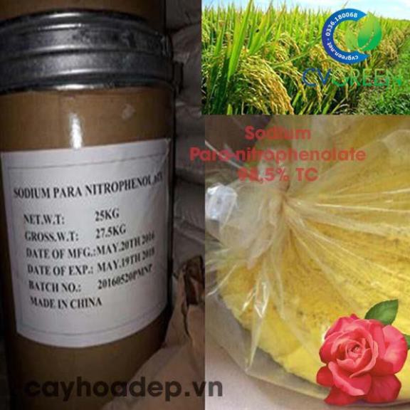 [HCM]Sodium Para-nitrophenolate 99% TC (kích thích hấp thụ phân bón) tan trong nước gói 100gram
