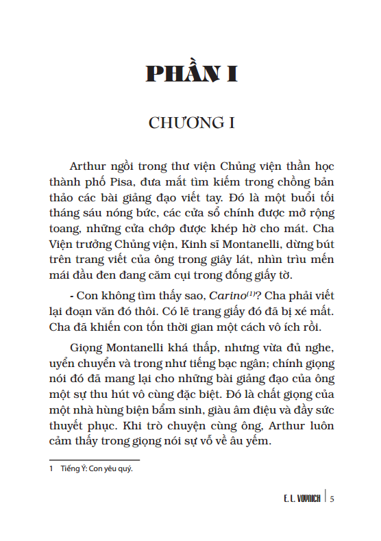 Ruồi Trâu (Bìa Cứng)
