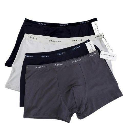 Combo 2 quần lót nam dạng đùi, boxer cotton lụa trơn