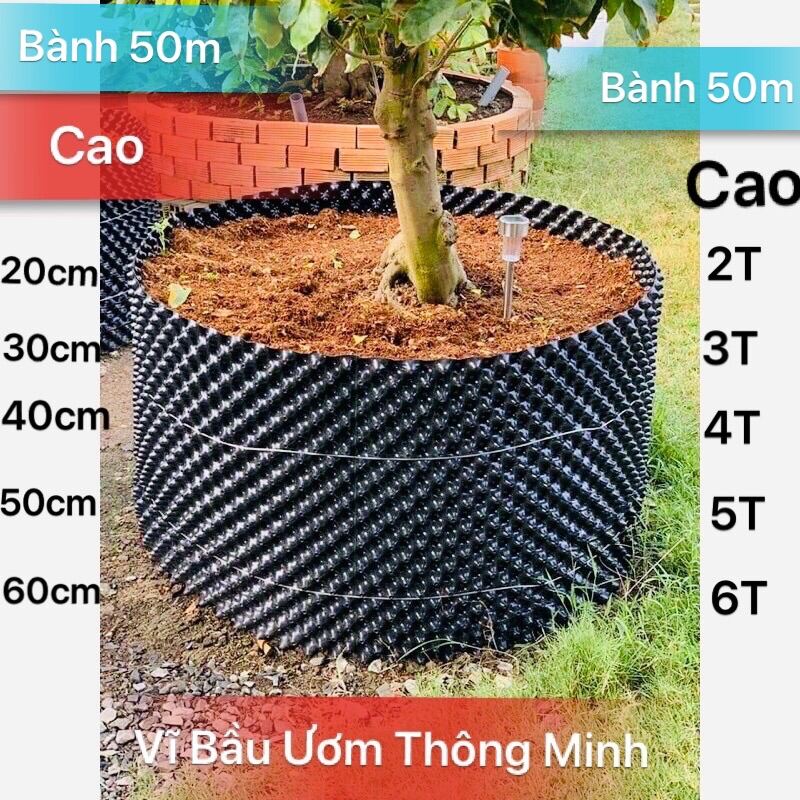 Bành dài 50m - vĩ bầu ươm cây thông minh - cao từ 20cm,30cm,40cm,50cm,60cm