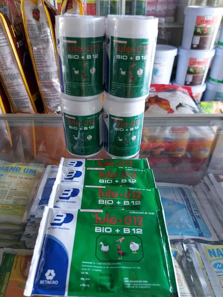 Phòng dịch BIO B12 và nuôi gà con mau lớn