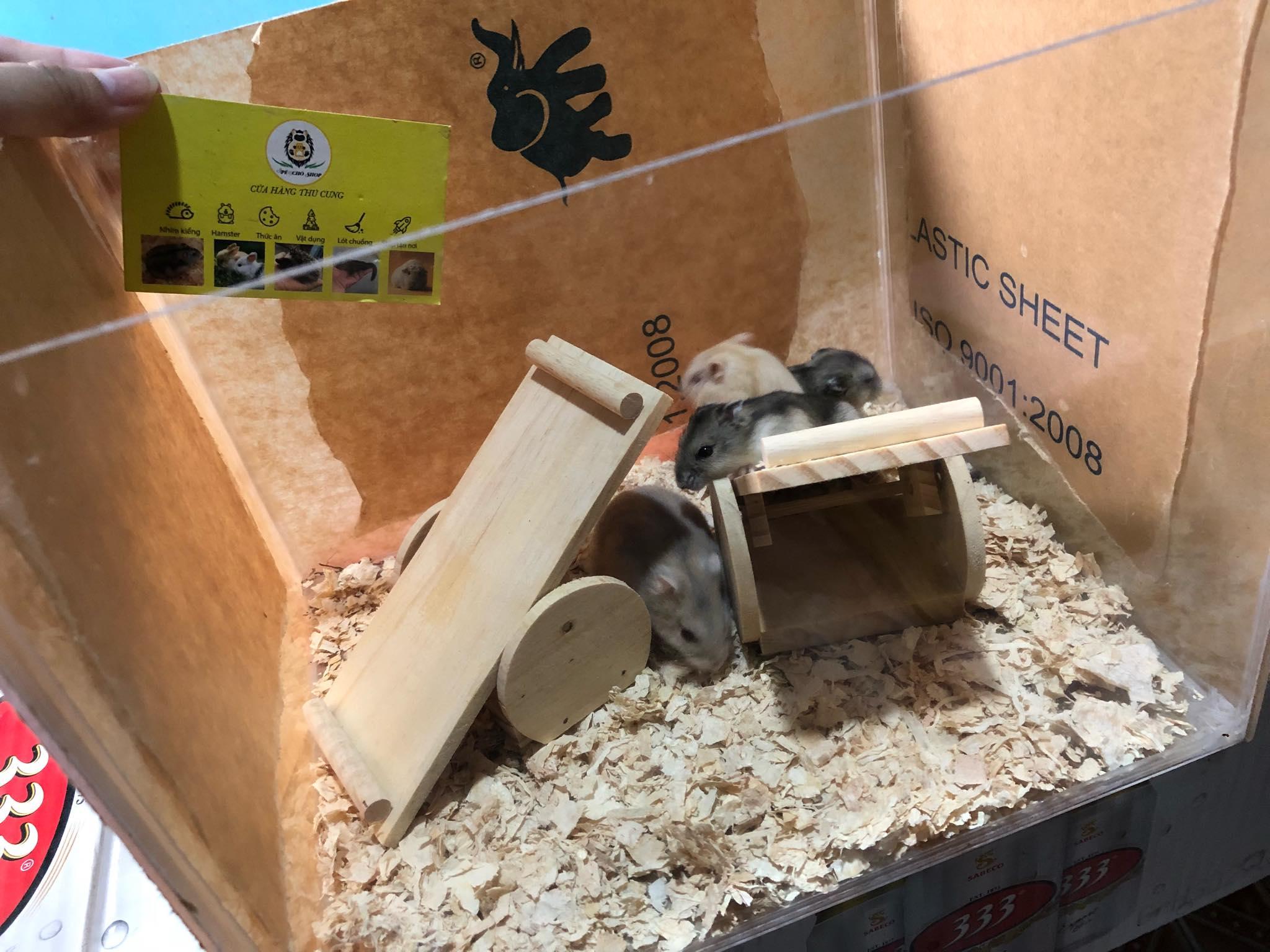 [HCM]Bập bênh gỗ cho hamster hoặc trưng bày trang trí.
