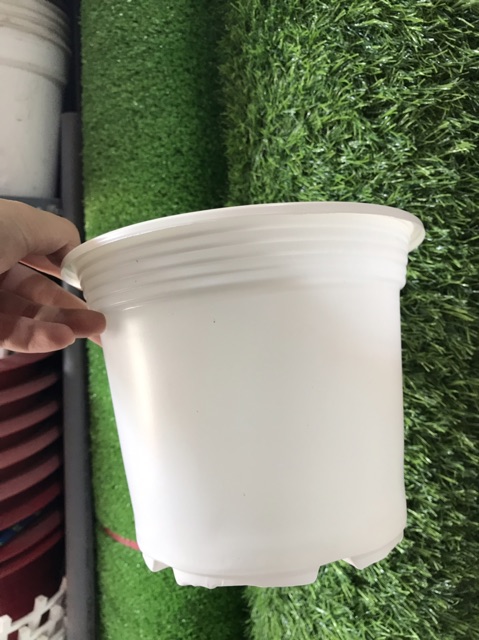 Combo 50 Chậu Nhựa Trồng Cây 19*14