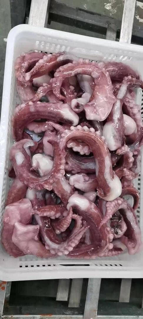 [CHỈ GIAO HÀ NỘI]1KG Râu bạch tuộc