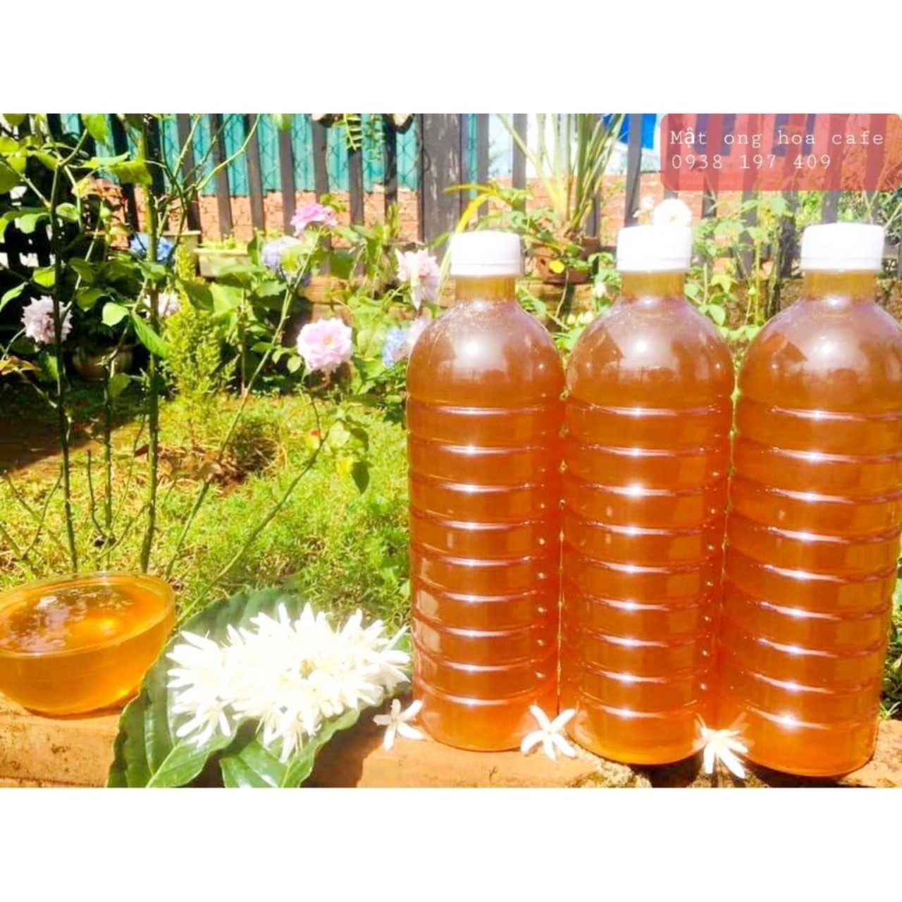 Mật ong hoa cà phê ĐAKLAK