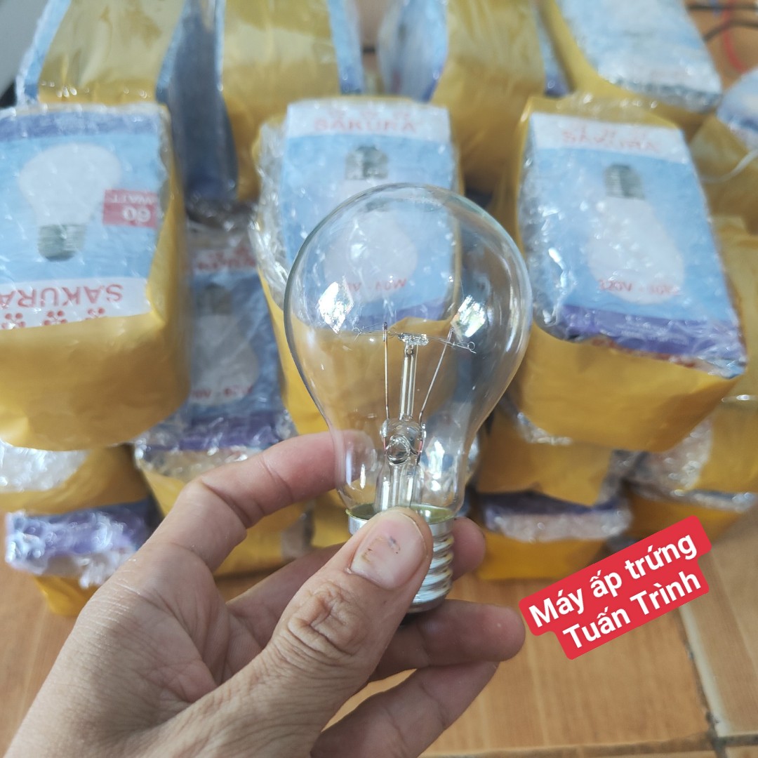 Bóng đèn sợi đốt 60W