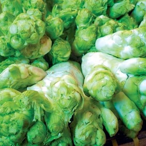 Hạt Giống Rau Cải Mầm Đá. Túi 0,2 Gram - Năng Xuất Cao - Nhiều bổ dưỡng .