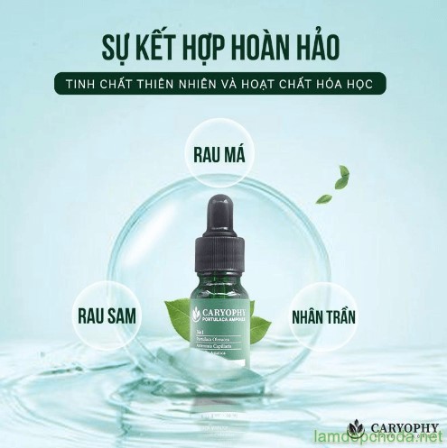 Serum CARYOPHY Cho Da Mụn 10ml Portulaca Ampoule