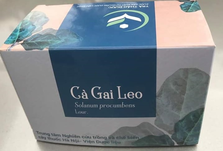 Trà túi lọc cà Gai leo hỗ trợ gan