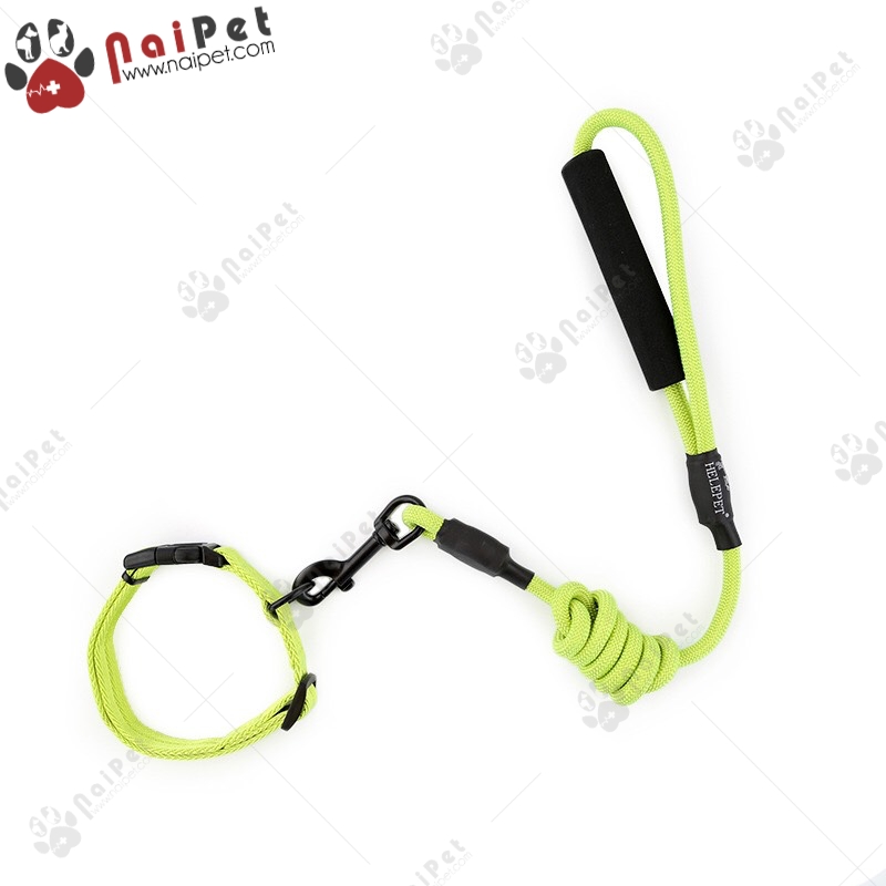 Dây Dắt Kèm Vòng Cổ Cho Chó Mèo ZiChen DDVC017