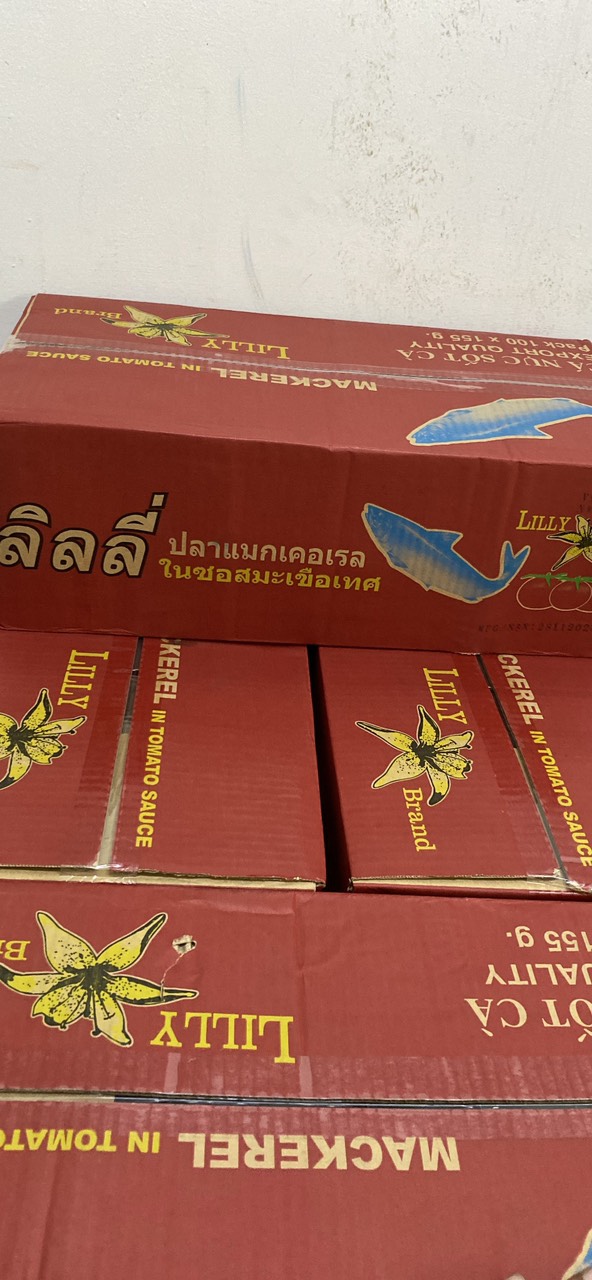 Combo 10 Hộp CÁ NỤC SỐT CÀ LILY 155G