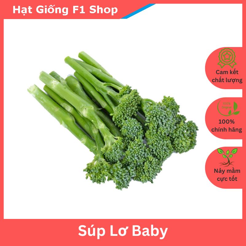 Hạt Giống Súp Lơ Baby Xanh Giàu Dinh Dưỡng (109.F1)