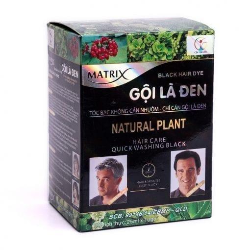 GỘI LÀ ĐEN MATRIX