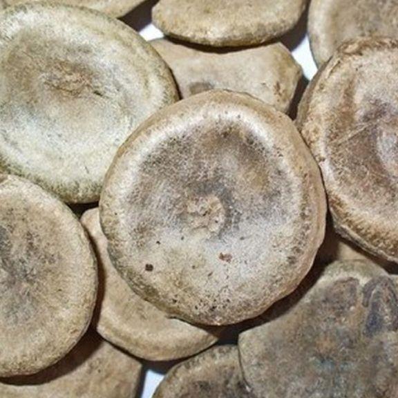 100g hạt mã tiền thảo