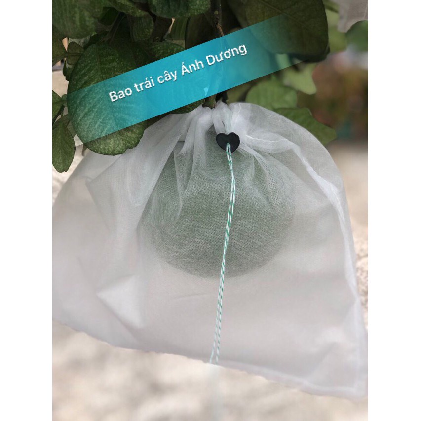 100 Túi Bọc Trái Cây Bưởi Da Xanh 30x35cm Thương Hiệu Ánh Dương - VUA BAO BÌ