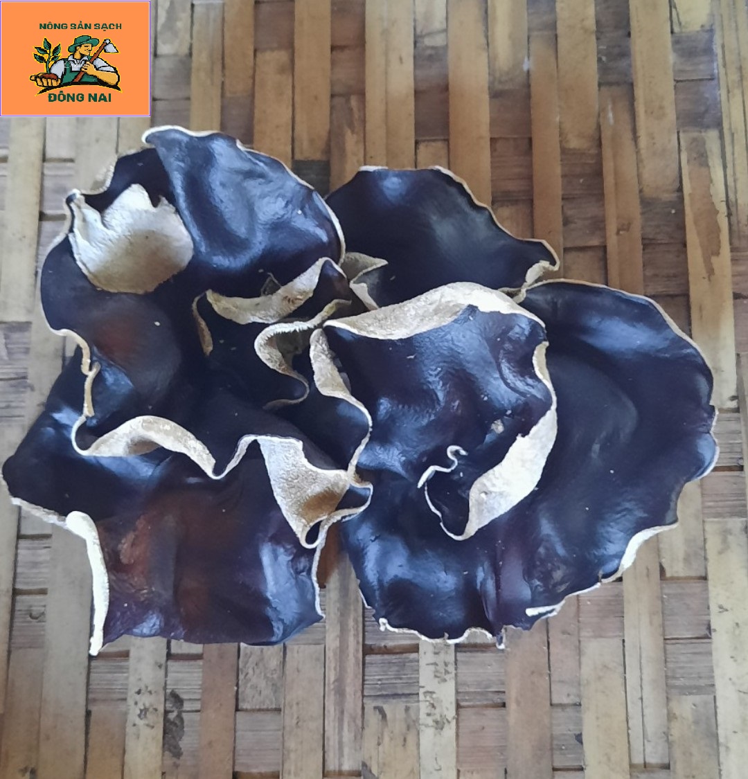 wood ear mushroom