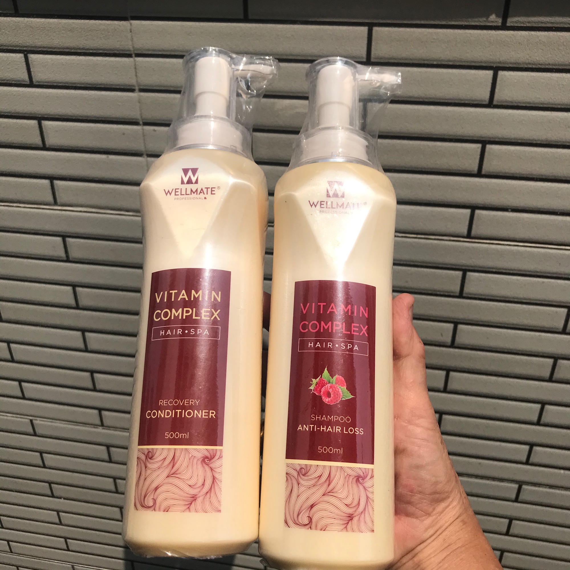 [HCM]Combo dầu gội xả chống rụng phục hồi WELLMATE Anti-Hair Loss 500mlx2