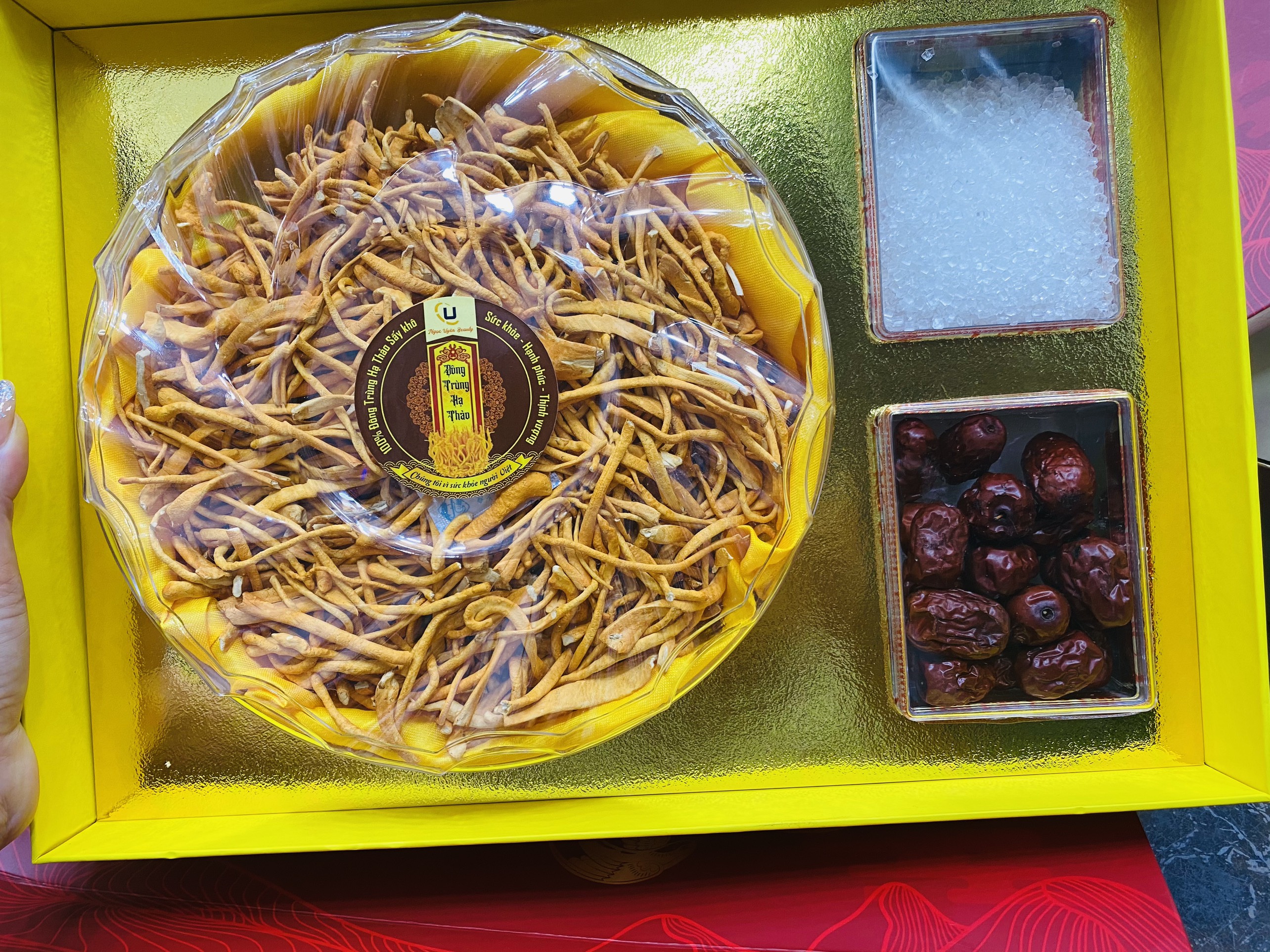 Đông Trùng Hạ Thảo