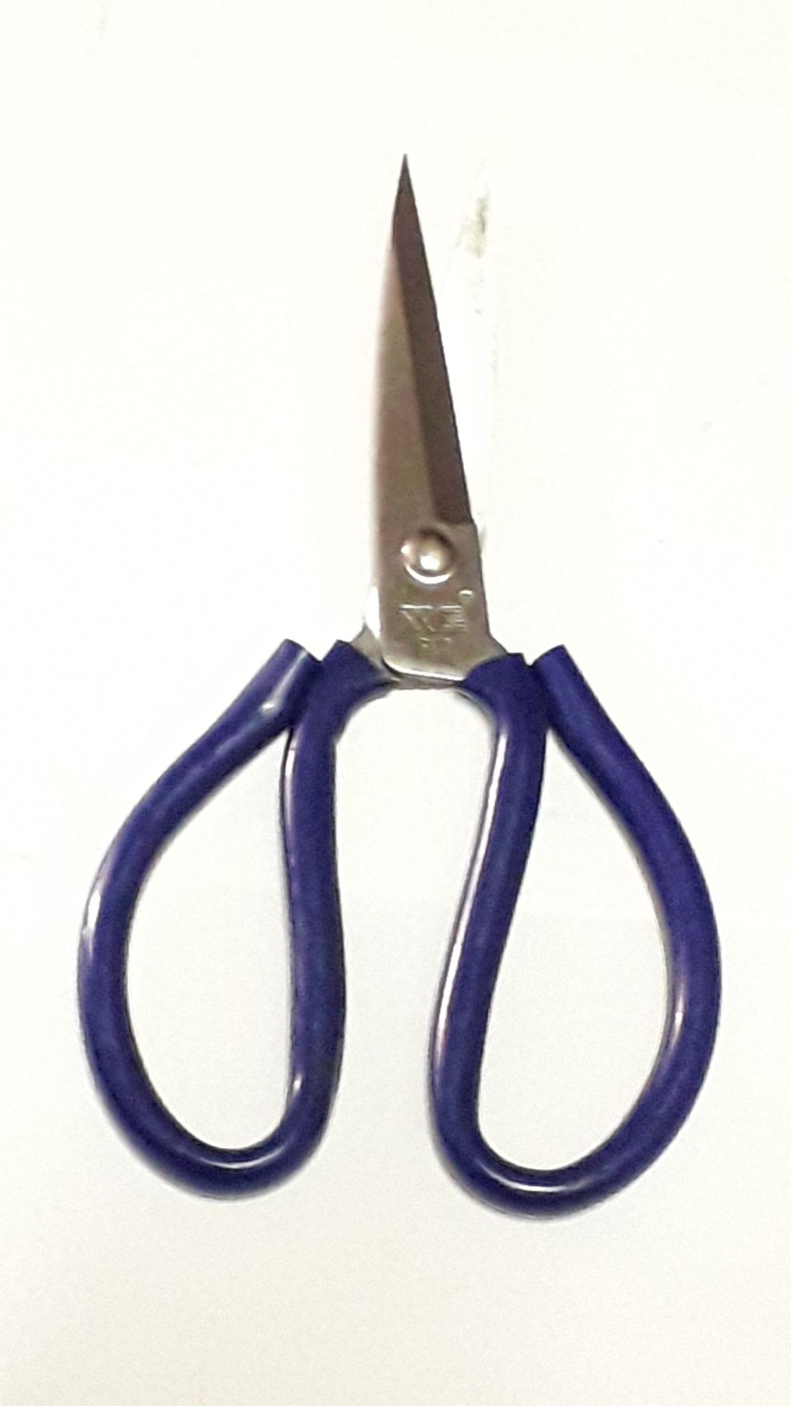Green P2 X 22cm Thick Iron Scissors