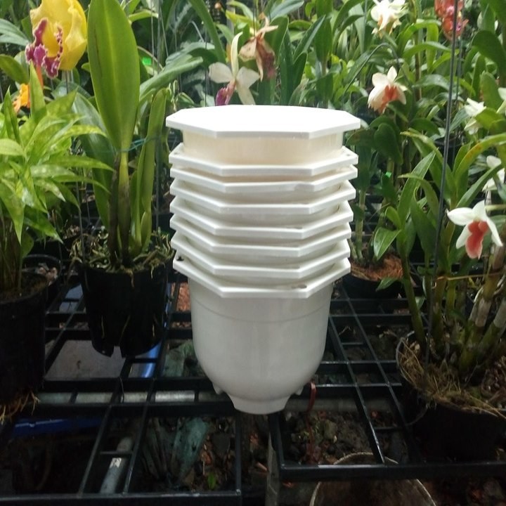 10 chậu nhựa trắng  20cm