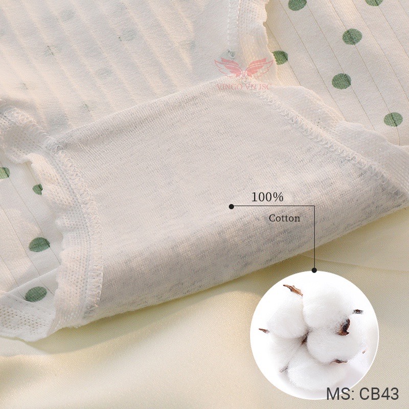 Combo 5 quần lót cotton nữ Vingo CB43 VNGO