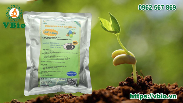 2 túi Trichoderma dạng bột 1kg - 2kg men ủ vi sinh Tricoderma - Phân vi sinh hữu cơ Tricho