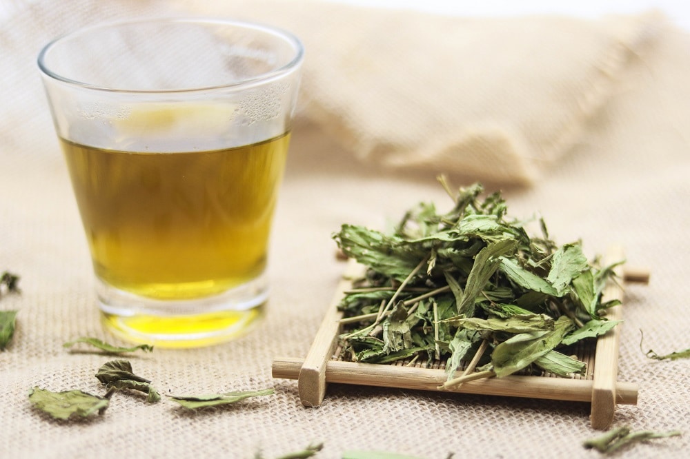 100G Lá cỏ ngọt sấy lạnh loại thượng hạng