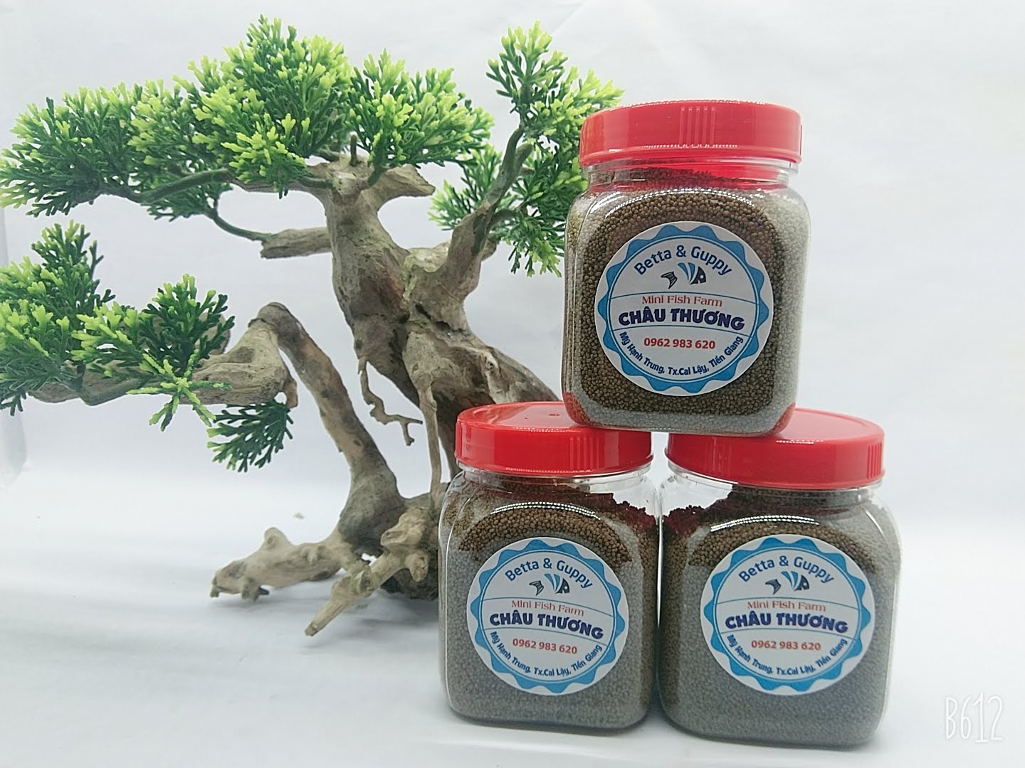 Thức ăn cho cá giàu đạm, hỗ trợ tiêu hóa