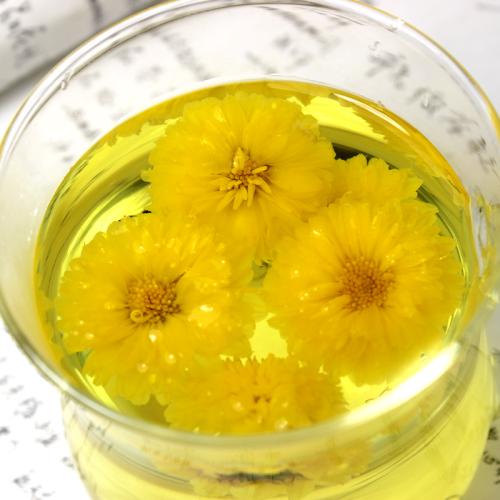 Trà hoa cúc vàng sấy gói 20 gram