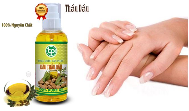 [HOT] Dầu thầu dầu nguyên chất 100ml - Thảo Dược Tấn Phát
