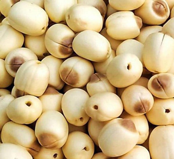 500gr Hạt sen sấy khô -  Loại Cao cấp