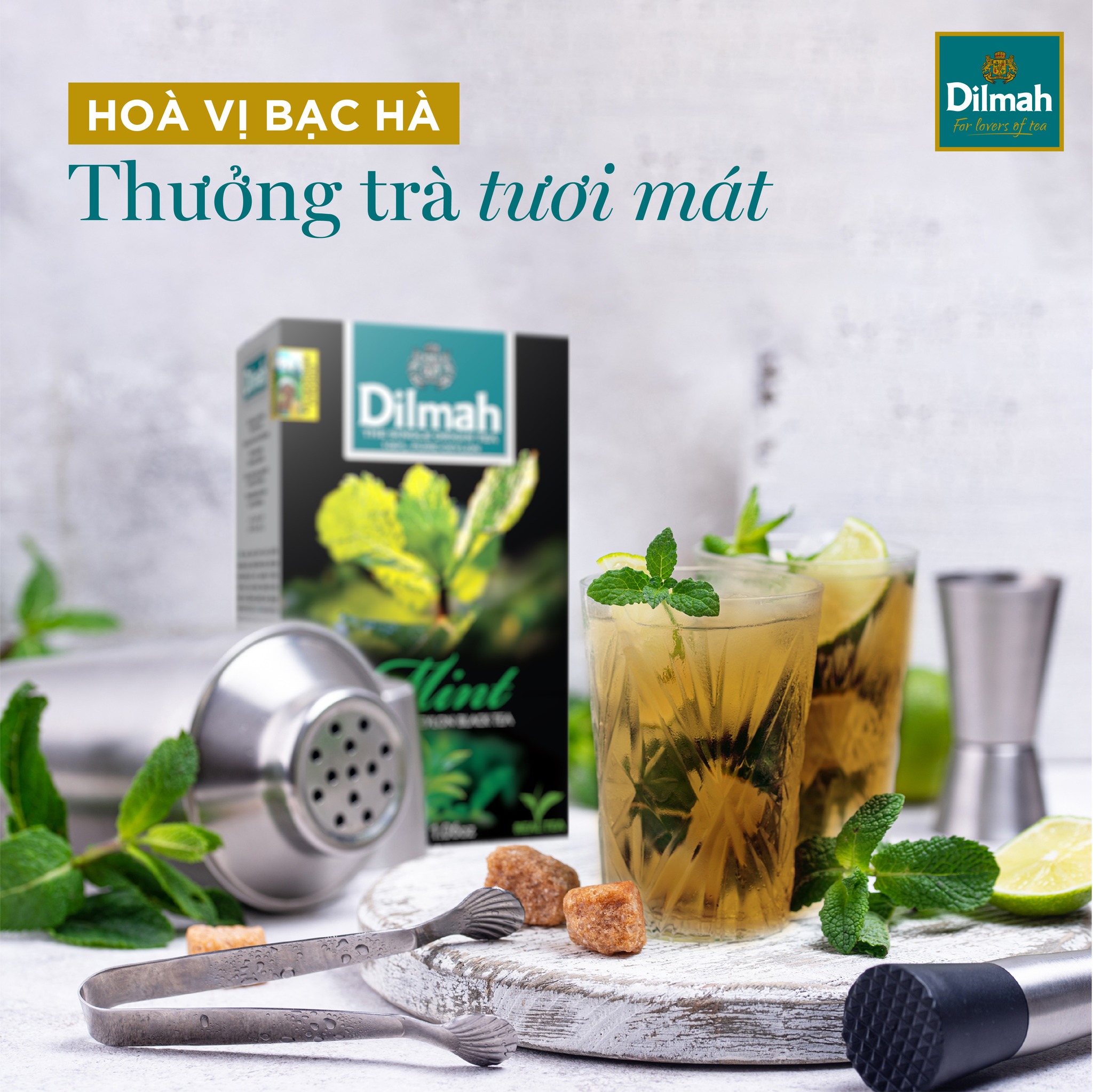 Combo 3 hộp Trà Dilmah Vị Bạc Hà - Mint 30g