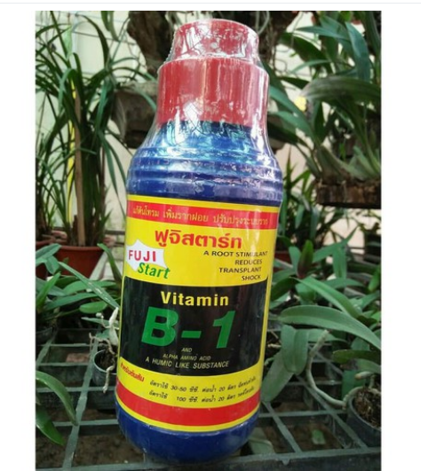 Phân bón - vitamin b1 thái lan chai 1000ml