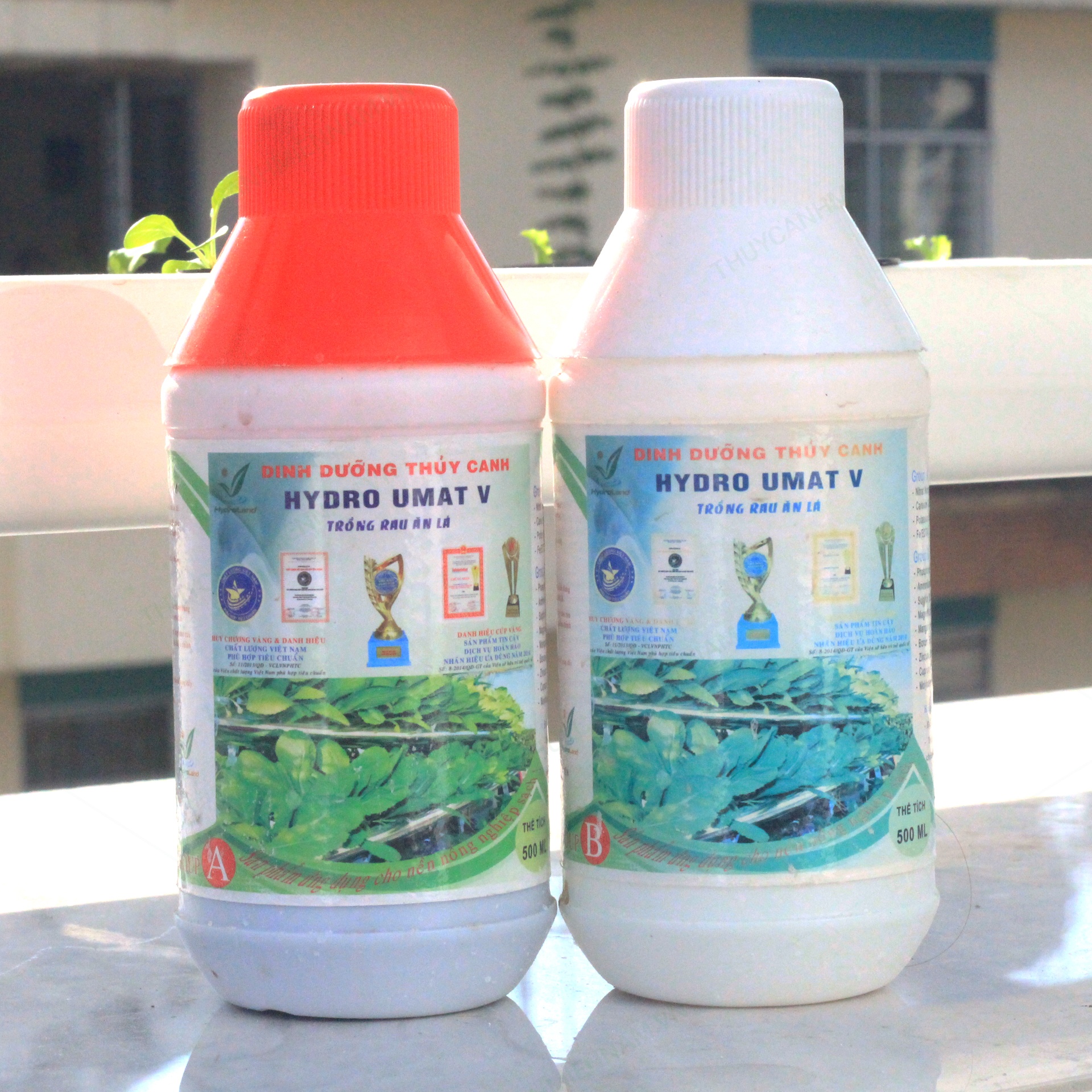 Dung Dịch Thủy Canh Rau Ăn Lá Hydro Umat V (Bộ 2 Chai)