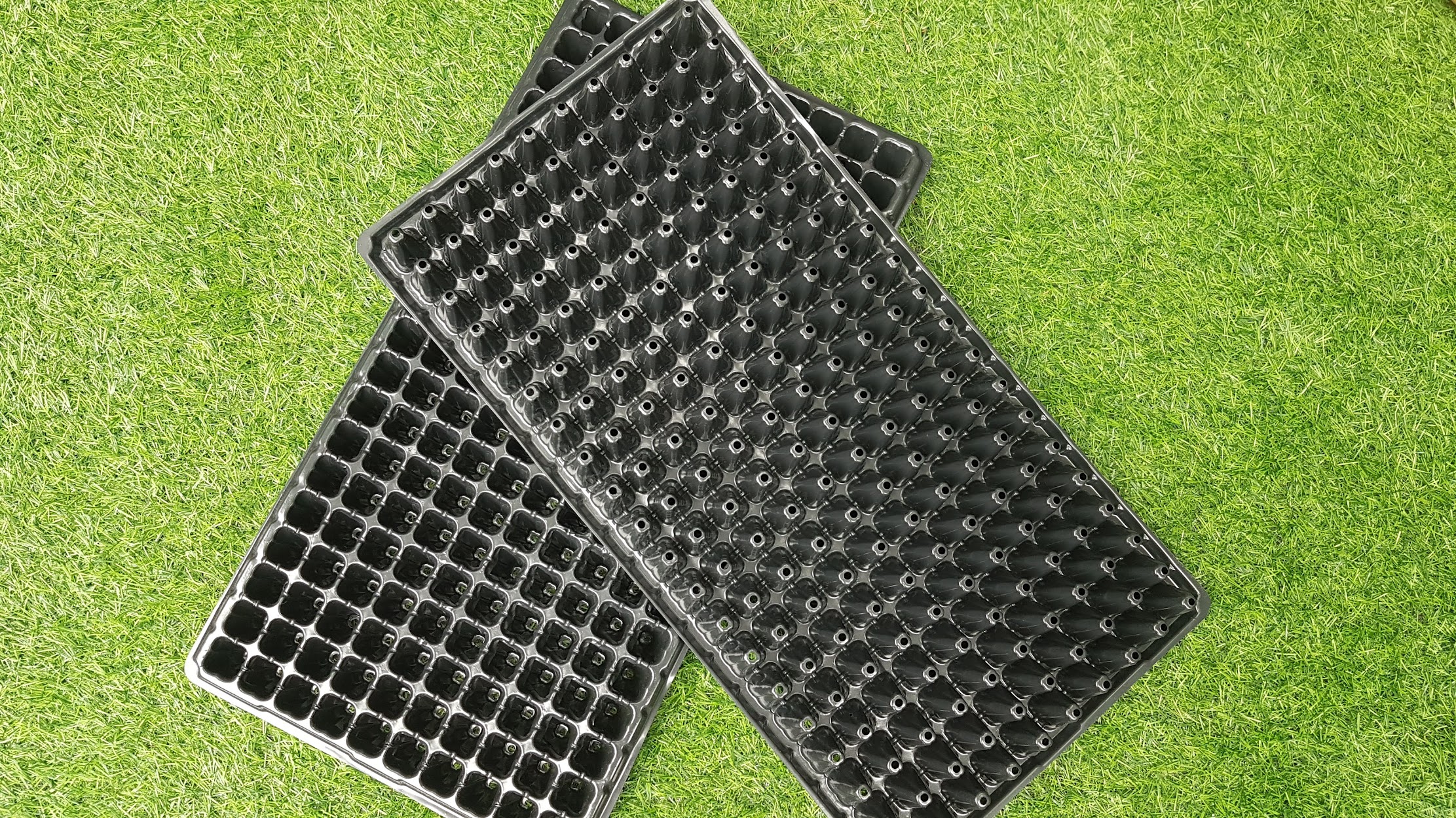 Khay mỏng ươm hạt 200 lỗ