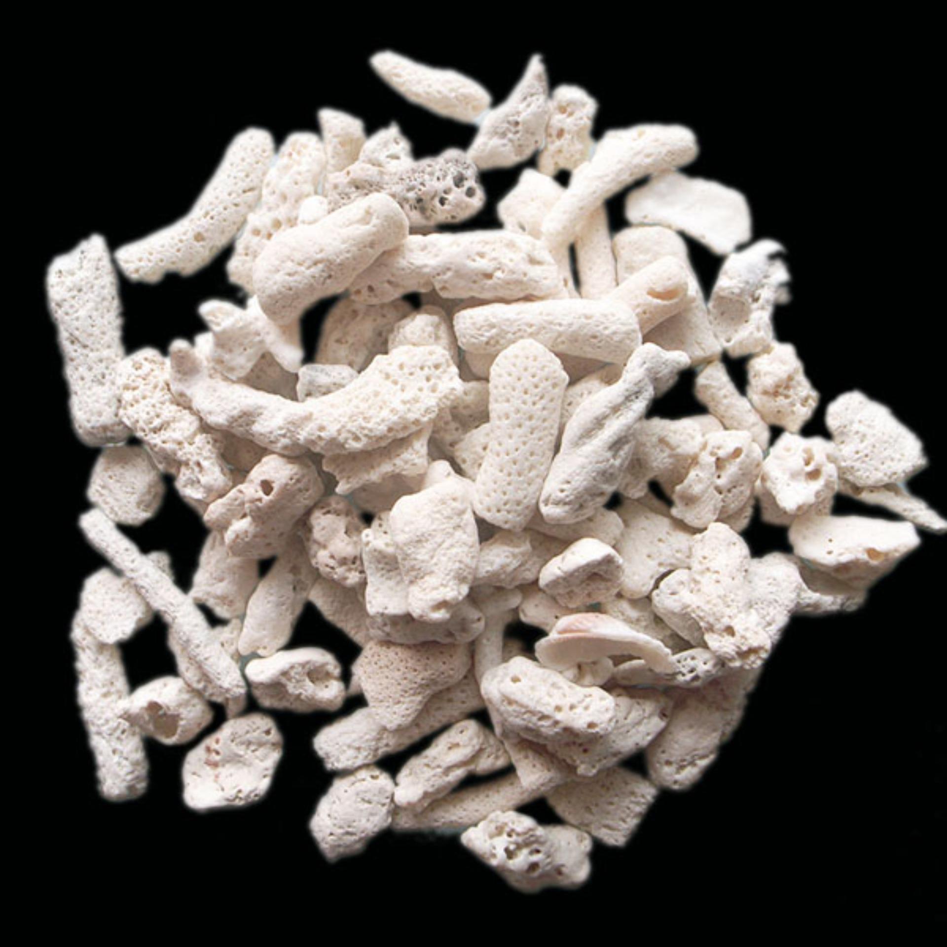 San hô vật liệu lọc, trang trí bể cá, hồ thủy sinh (túi 200gr)
