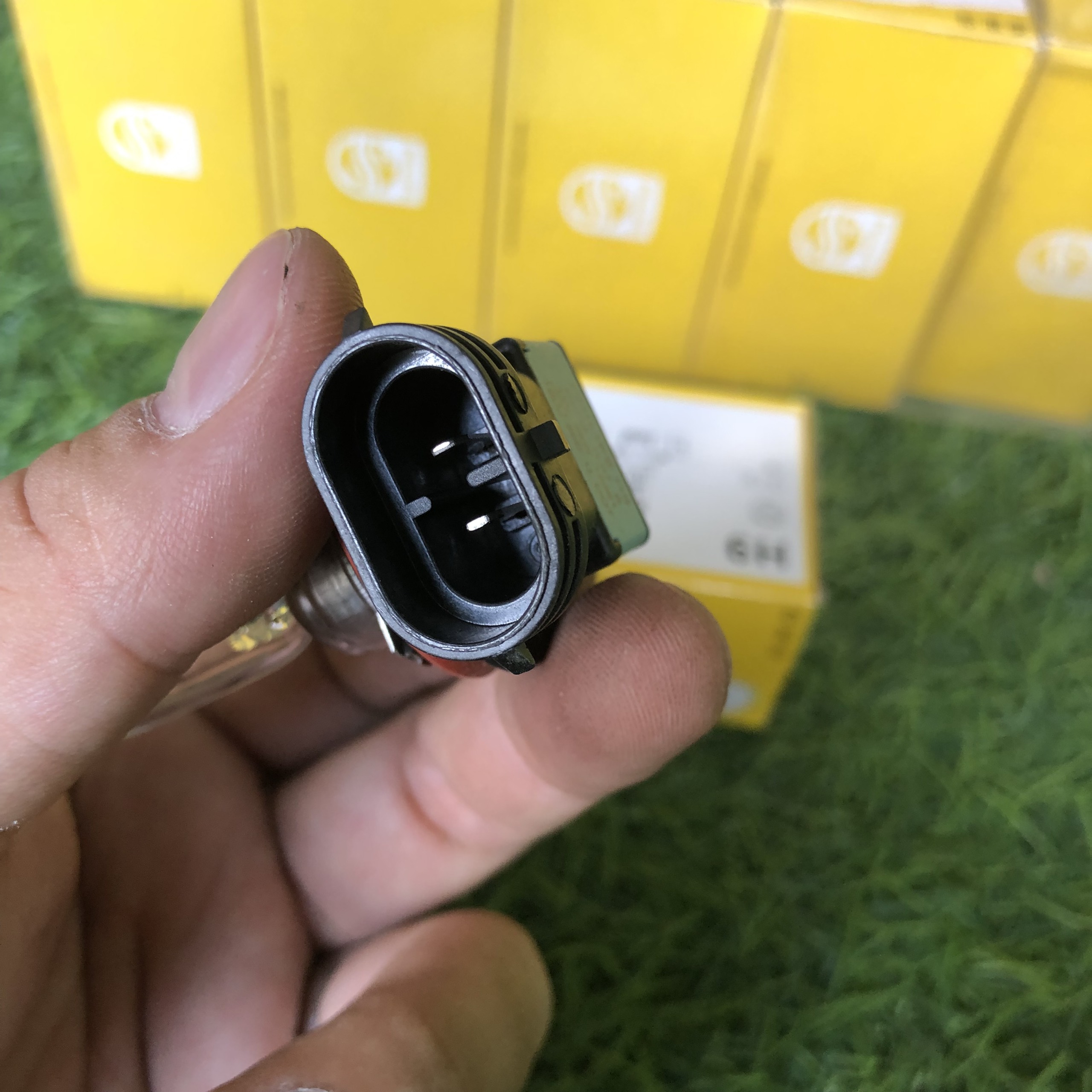 Bóng đèn ô tô chân h9 12v philips