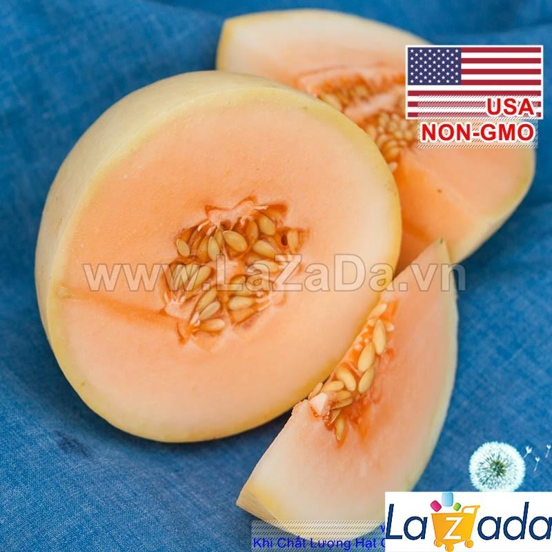[HCM]BỘ 5GÓI 30h Hạt Giống Dưa Lê Thịt Cam Honey Rất Thơm (B3.402| A2*V43)