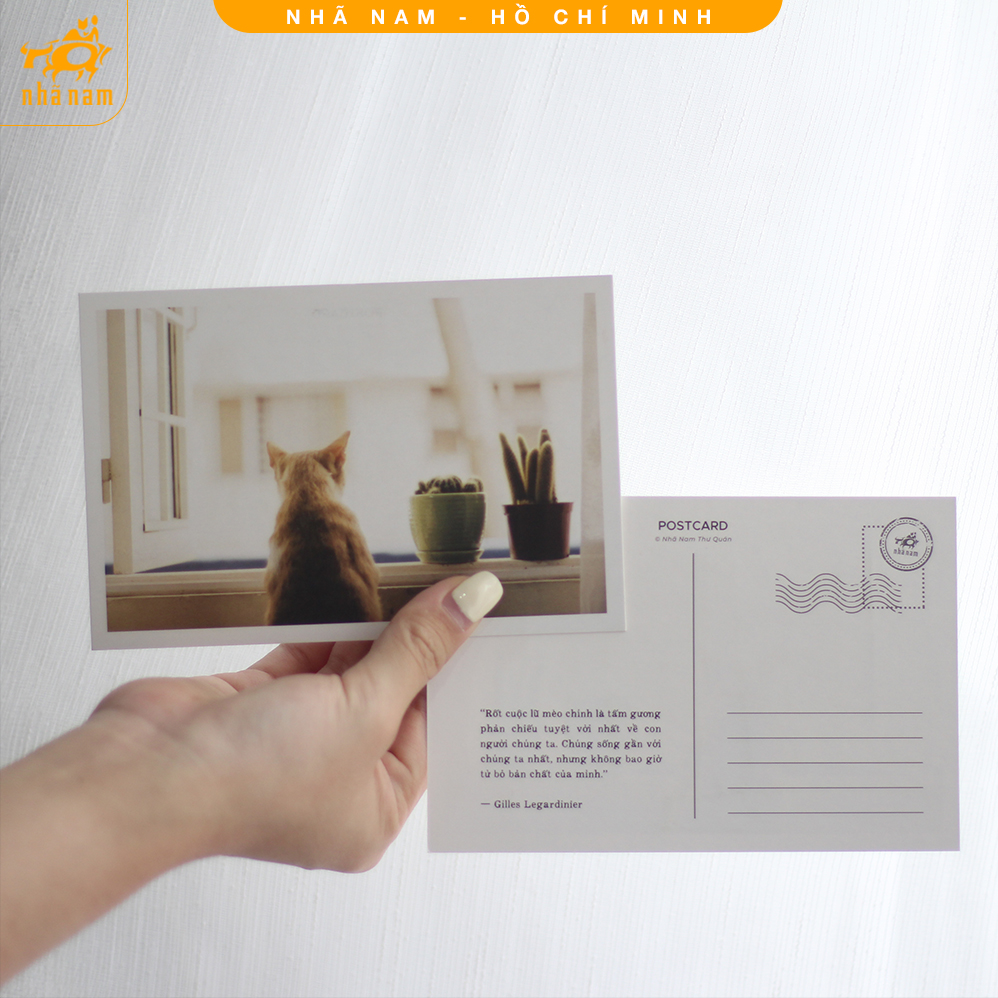 Postcard Nhã Nam (mẫu ngẫu nhiên) (Nhã Nam HCM)