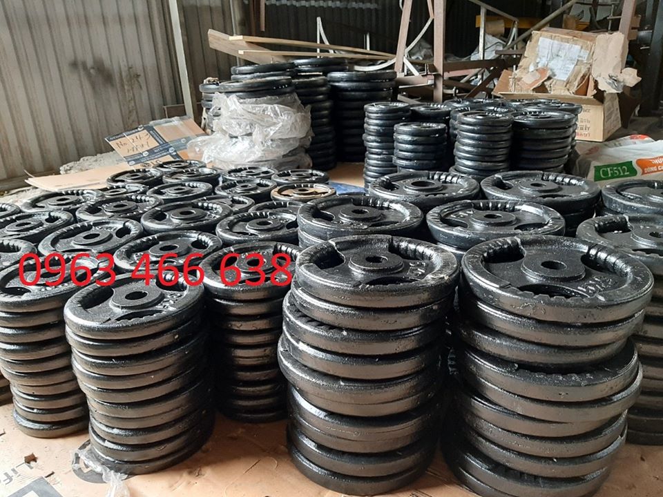 Tạ gang 3kg phi 27