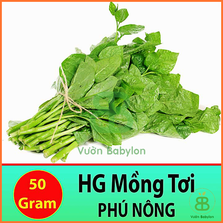 50gr hạt giống mồng tơi cao sản, nảy mầm nhanh