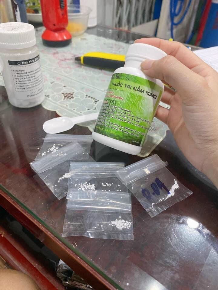 [HCM]Diệt Nấm Mang cho Cá - Hủ 50gr