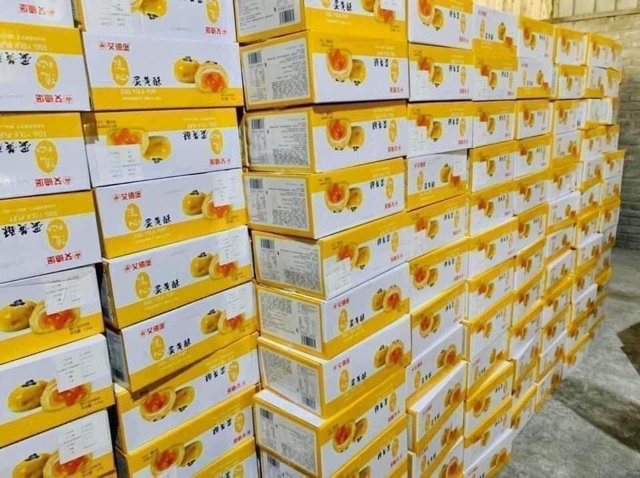 1 kg bánh pía Đài Loan mới