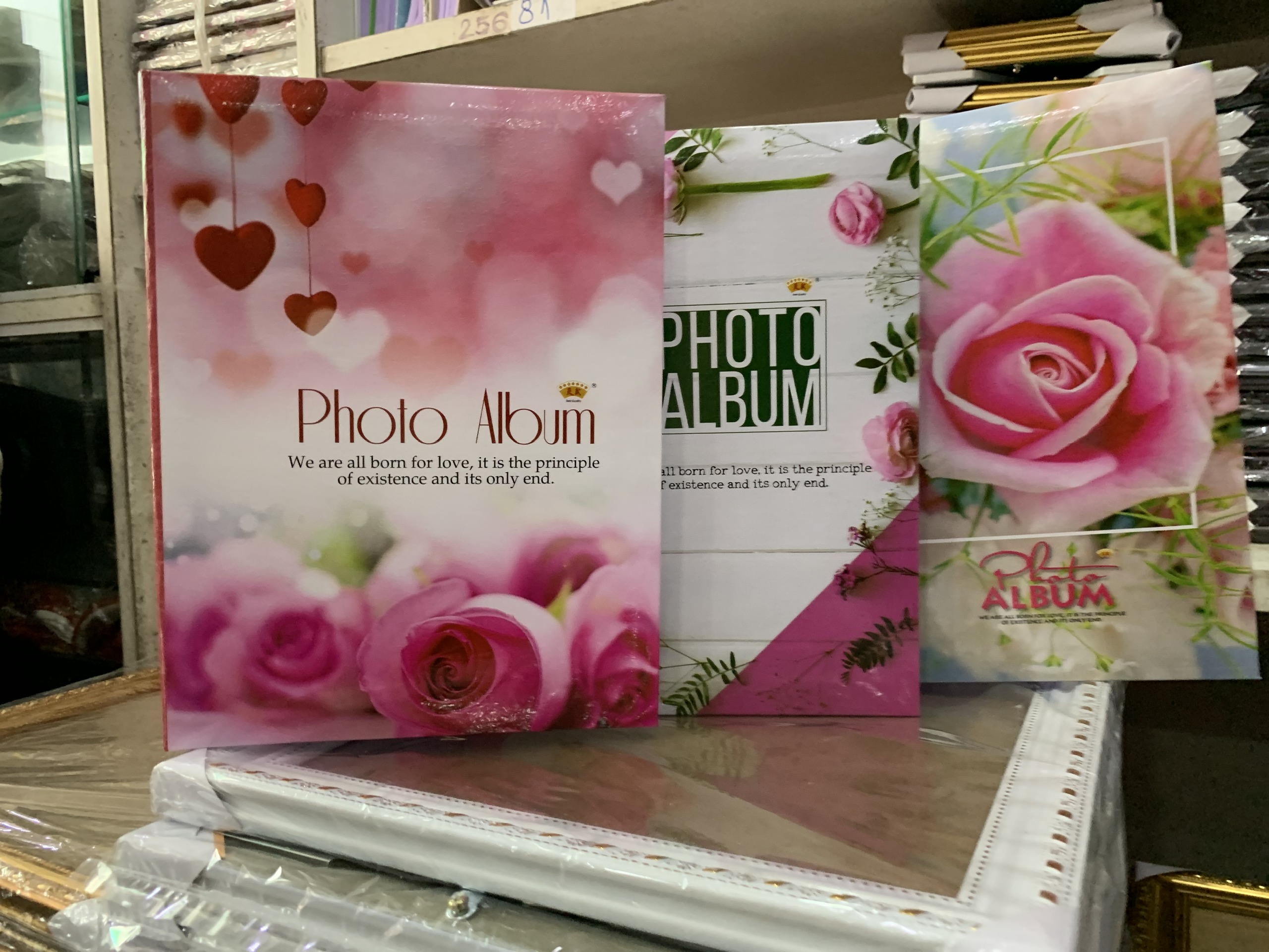 album để hình (15x21) bìa cứng 1 ngăn