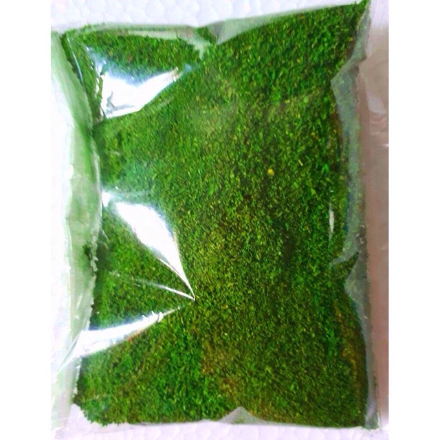Cỏ Bột Rêu , Sợi